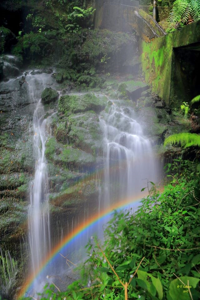 Wasserfall Lorbeerwald La Palma